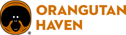 Orangutan Haven